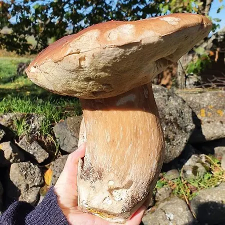 La D'hote Du Petit Mazilloux Bed & Breakfast