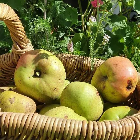 Bed & Breakfast La D'hote Du Petit Mazilloux