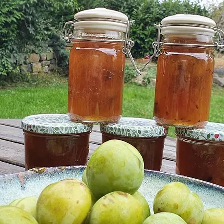 Bed & Breakfast La D'hote Du Petit Mazilloux Presailles