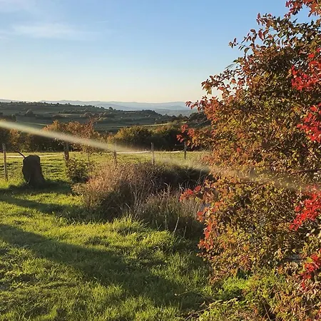 La D'hote Du Petit Mazilloux Presailles